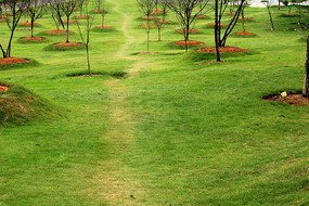 �ݵ�ӣ����