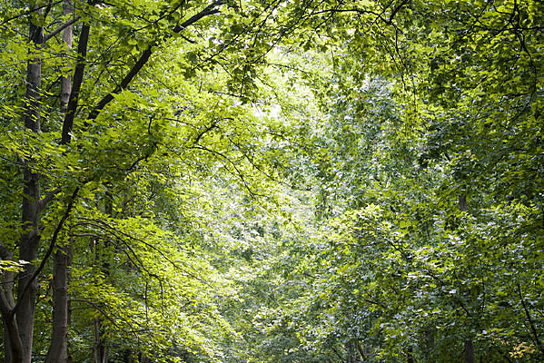 �д������