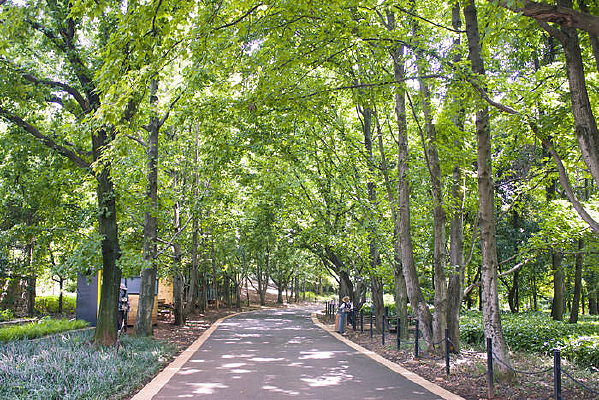 �д�����ֺ�С·