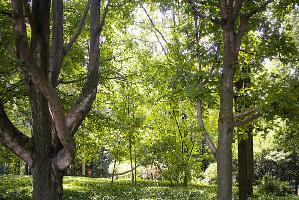 �д��һƬ����