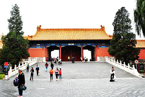 �ʹ����������Ž���