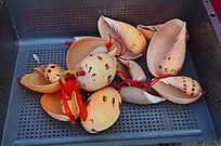 �������ӹ���Ʒ�ز�