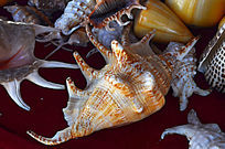 �����ֹ���װ��Ʒ