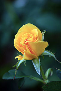 �ư뿪���¼���