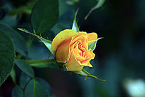 ��ɫ���¼�����