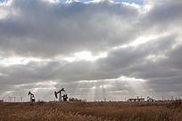 ��ԭ�ϵ�����Ʋ�