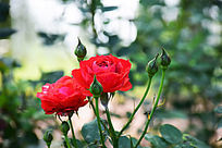 �����ɫ�¼�����