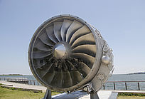 ������ҶƬ