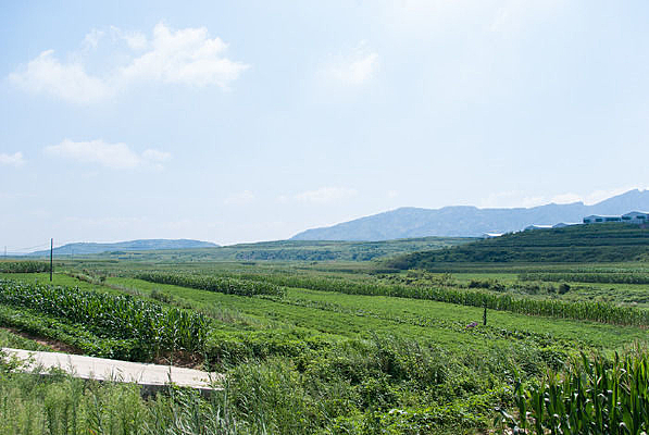 �����͵�ũ��