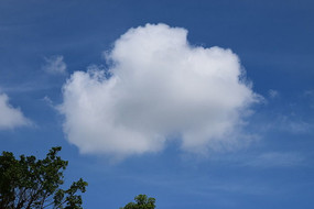 ����ƶ�ͼƬ