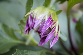 ��ɫ�Ĵ���������