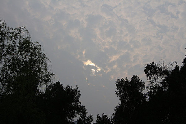 ������԰����