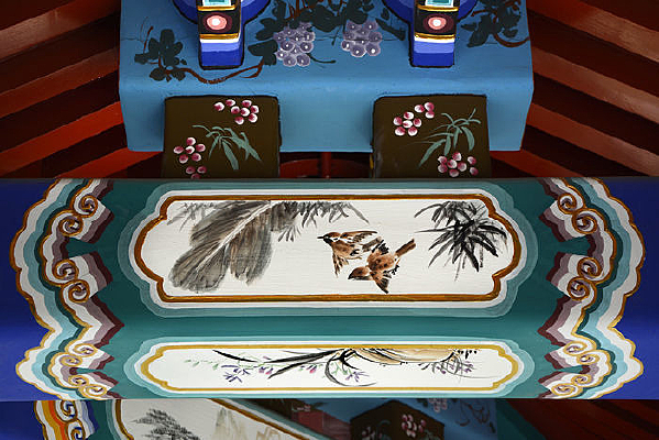 ���Ȳʻ���ȸ