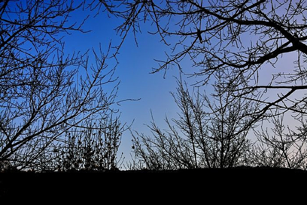 ������Ӱ