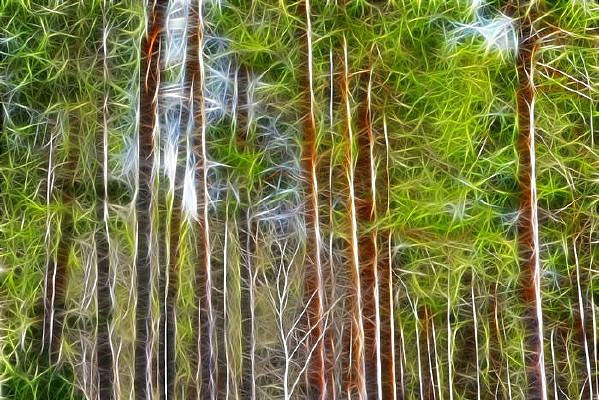 ���Ի������֡�