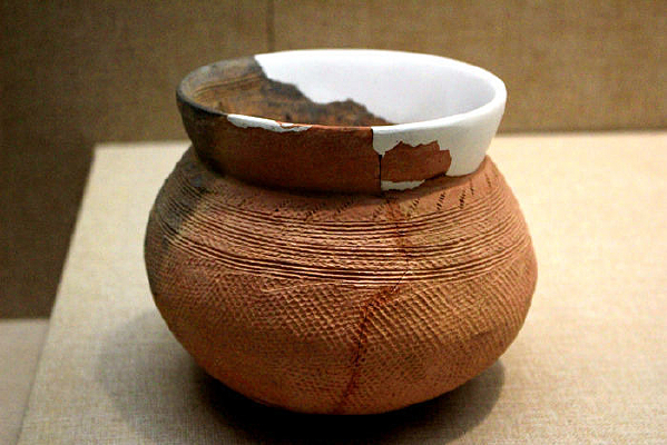 �����չ�