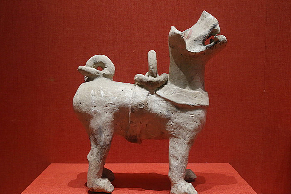 �����ʻ��չ�