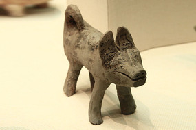 �����չ�