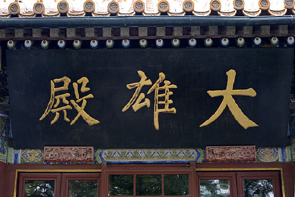 ����´��۵��Ҷ�