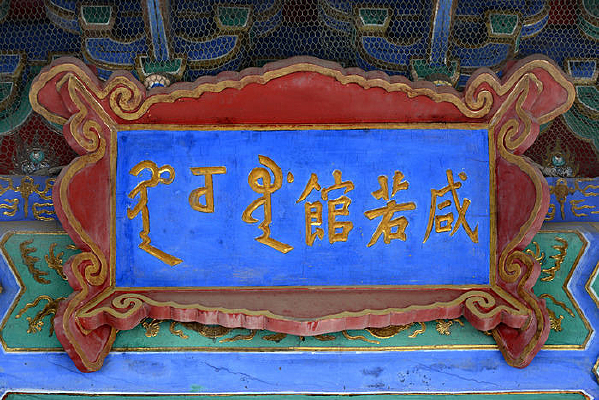 �ʹ�������