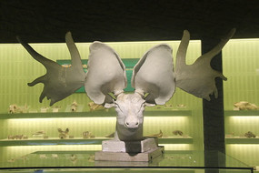 ������¹��ԭģ��