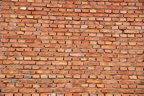 ��ɫשǽ��ͼ����