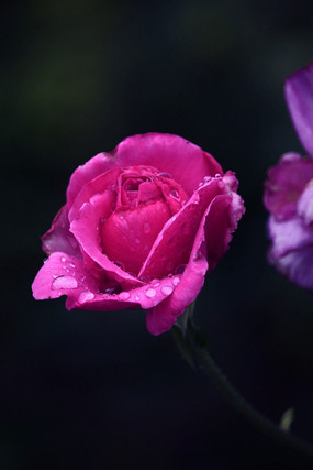 õ��ɫ��ˮ����¼���