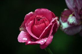 õ��ɫ��ˮ���¼���