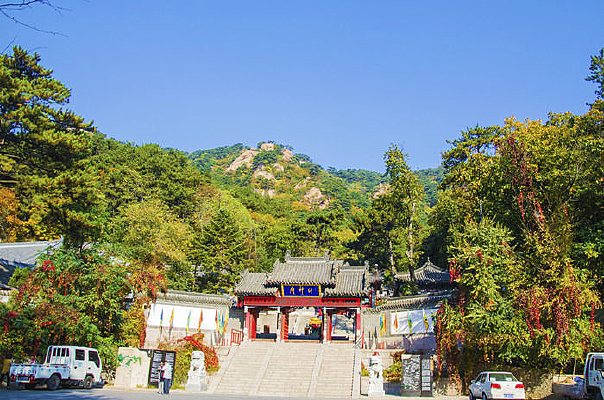 �����ǧɽ������