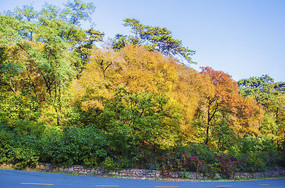 �����ǧɽ����