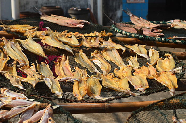 ɹ�������