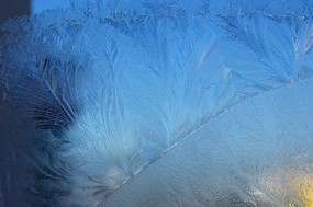 ˪������