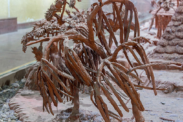 ��ľ����