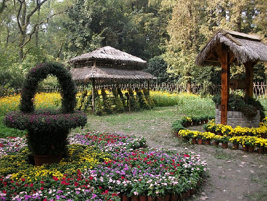 ��Ҷľ�ݾջ�