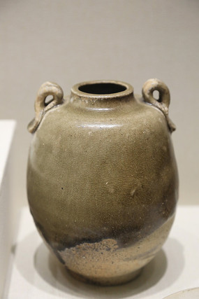 �ƴ�˫ϵ�ɹ�