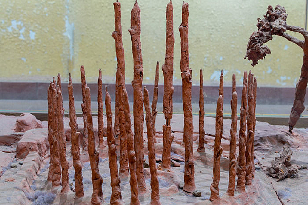 դ������