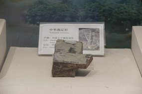 �л�����ɼ��ʯ