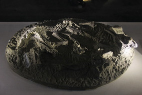 ����������ʯ