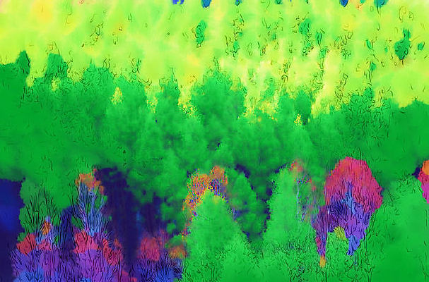 ������Ի��������֡�