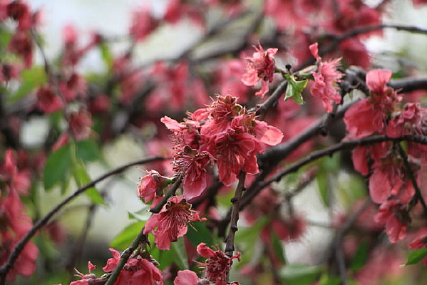 �������Ϣ