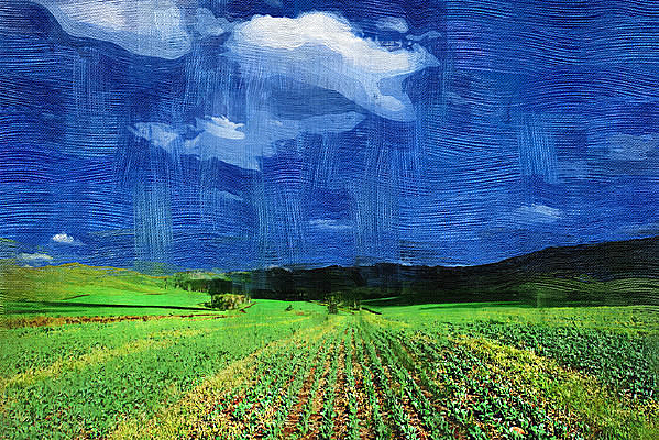 ��԰������װ��