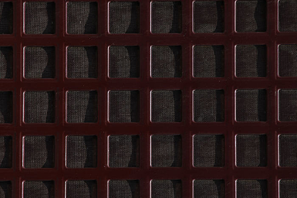 �����Ʊ���