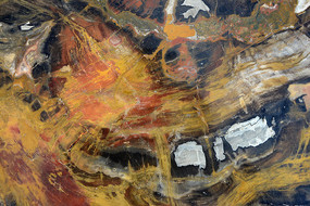 �ͷ׵�ľ��ʯ