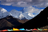 �����Ź����