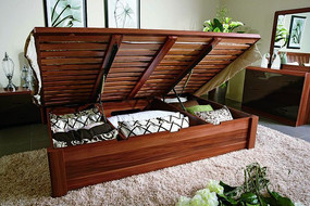 �����ŹǸ���