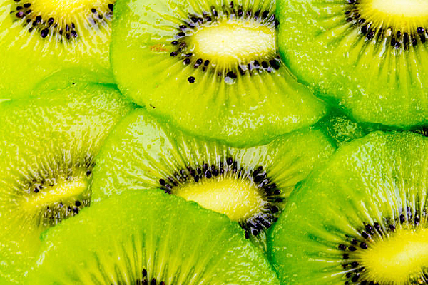 �������Ƭ