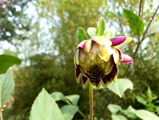 �������ʱ