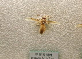 ������������걾