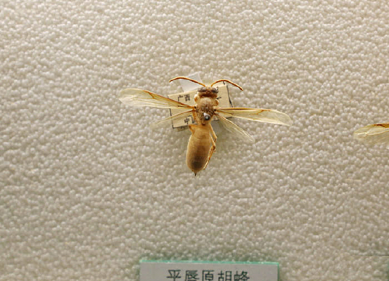 ������������걾