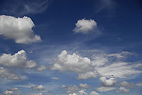 �������ư���Ʈ